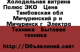 Холодильная витрина Полюс ЭКО › Цена ­ 15 000 - Тамбовская обл., Мичуринский р-н, Мичуринск г. Электро-Техника » Бытовая техника   